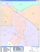 Cathedral City  Wall Map Color Cast Style